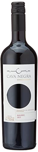 Melhor vinho argentino: os 10 melhores em 2026