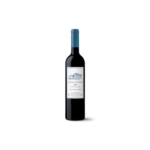 Melhor vinho: os 10 melhores em 2026
